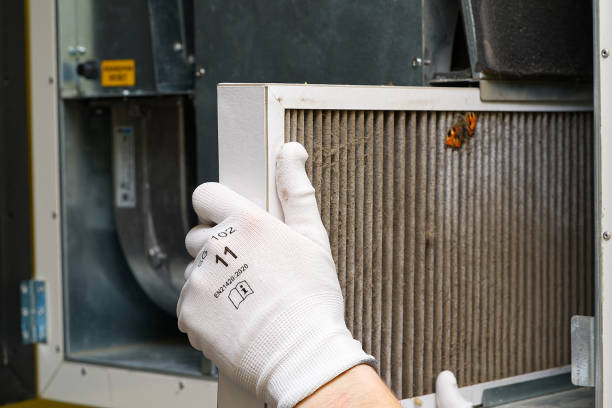 Best Local Air Duct Cleaning Services  in Oak Point, TX