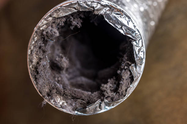 Best Affordable HVAC Duct Cleaning  in Oak Point, TX