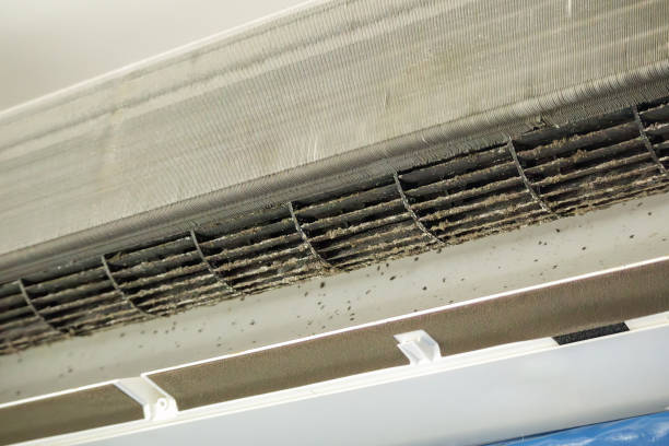 Best Emergency Air Duct Cleaning  in Oak Point, TX